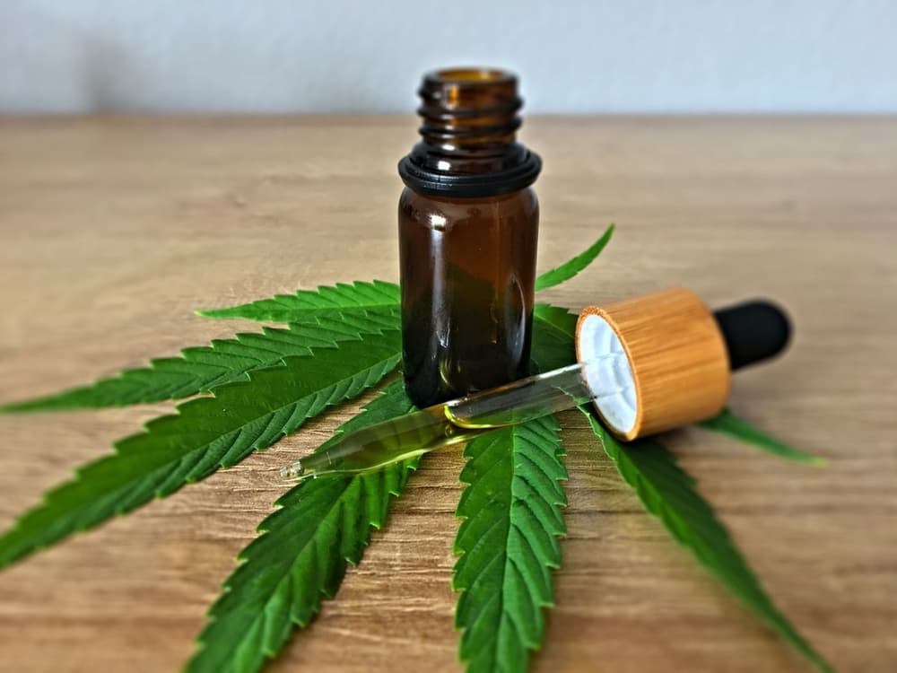 THC w medycznej marihuanie – jakie ma znaczenie dla efektów terapeutycznych?