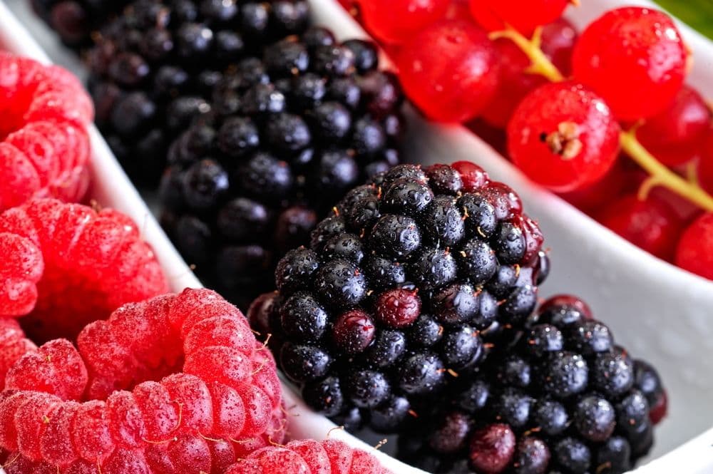 Owoce w dieta niemowlęcia – jak wprowadzać jagody do diety niemowlęcia?