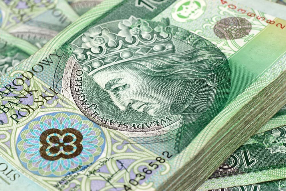 Kuroniówka – co to jest, kiedy się należy, ile wynosi, jak uzyskać?