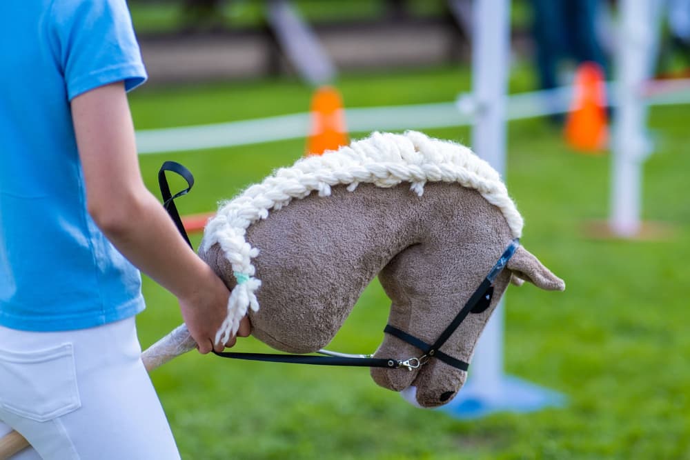 Hobby horsing – na czym polega to hobby? Czy to dobry sport dla dziecka? Hobby horsing – na czym polega to hobby? Czy to dobry sport dla dziecka?